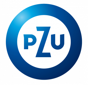 PZU Insurance Group, case study, Holini PPC Agency